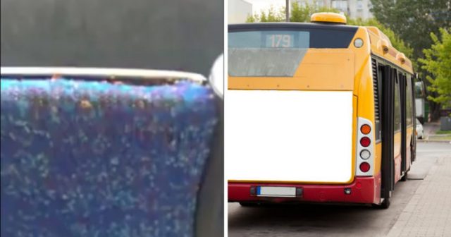 autobus-sedacka-plostice-stipance-nechutnost-696x365