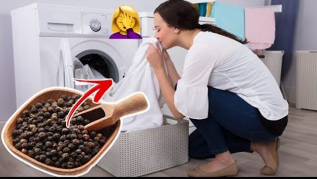 650