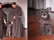 Klášter si adoptoval pejska, který neměl domov. Nyní ho přijali mezi sebe.