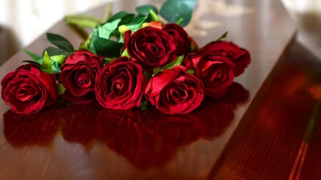 4b24cfc24a8e4e9db5cbaa5d3f0699d7