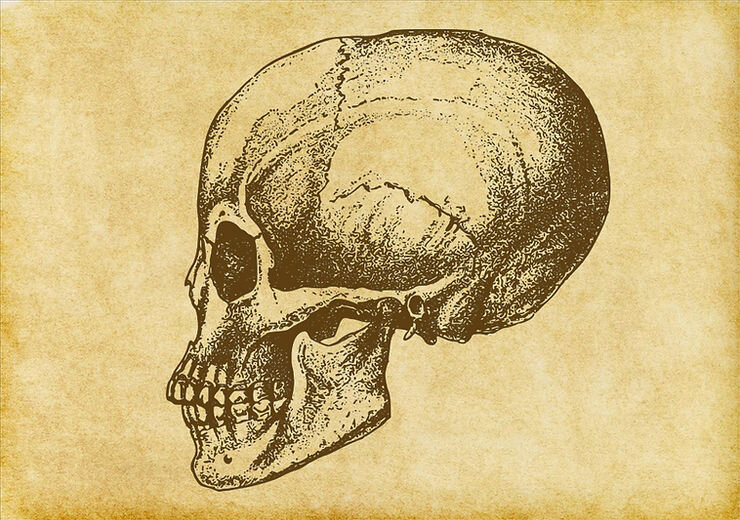 Když mluvíme o duši, každý myslí na něco vznešeného a trochu pohádkového. Co když duše není abstraktní duchovní kategorií, ale skutečnou biologickou pravdou? -2