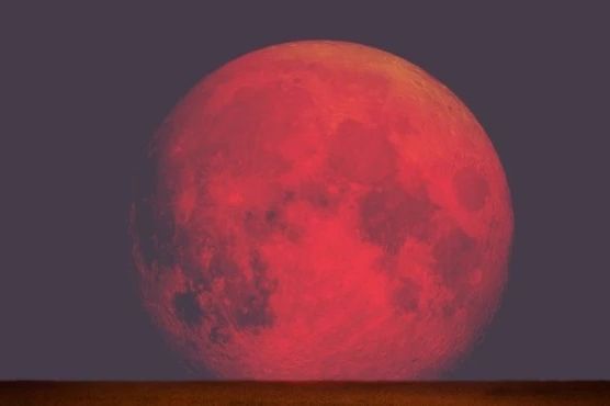 1729063962-1022997-shutterstock-1086274580-m-690x480