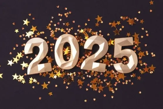 1733730634-1060503-shutterstock-2525538299-m-690x480