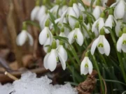Evropu sežehne africké vedro. Pak se ale všechno změní, varují meteorologové