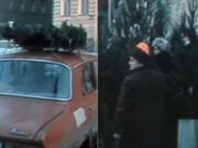 Fronty delší než na banány! Jak Češi kdysi zoufale sháněli vánoční stromky