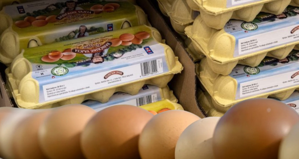 Velká změna v obchodech na Slovensku Tento jeden druh vajec už neseženete!