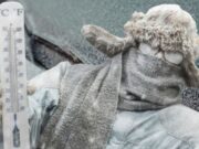 Ledový šok míří do Evropy! Meteorologové varují: Teploty se propadnou až k –20 °C