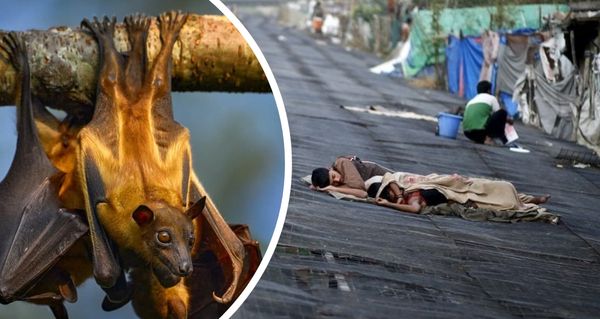 Smrtící virus se šíří Asií Nemá lék a úmrtnost je děsivá