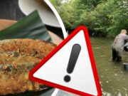 Upozornění úřadů: Tyto ryby nejezte! Obsahují jedy, které mohou spustit rakovinu