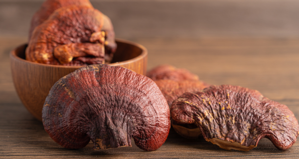 Reishi (3)